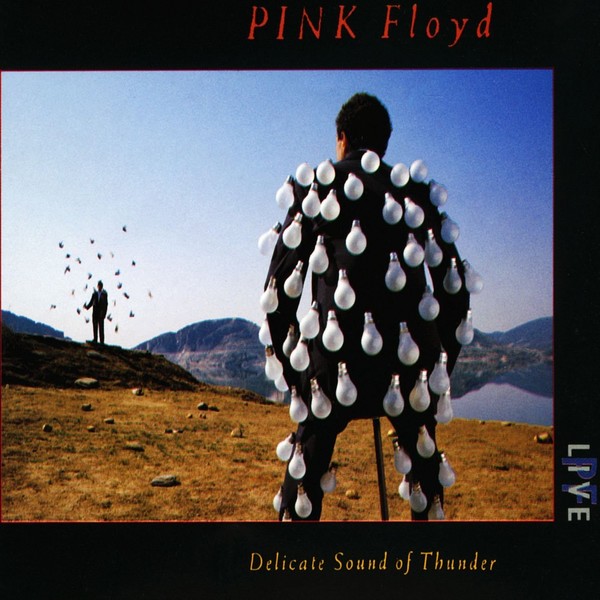 Pink Floyd - Delicate Sound Of Thunder (1988)